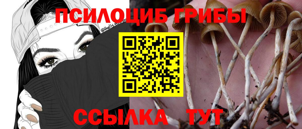 даркнет сайт  Вход с VPN  Галлюциногенные грибы Psilocybe  Нальчик  Псилоцибиновые грибы мицелий 